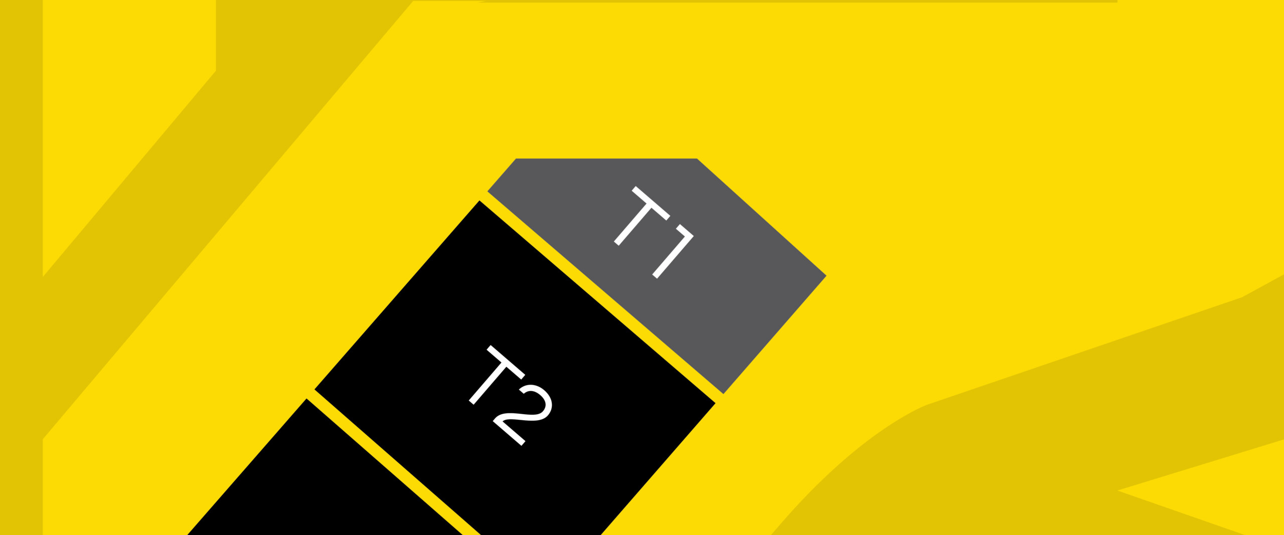 T1-01
